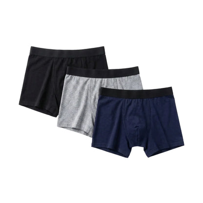 Norxil Boxers Leakproof Originals 2026
