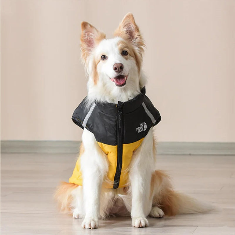 Dog Winter Coat