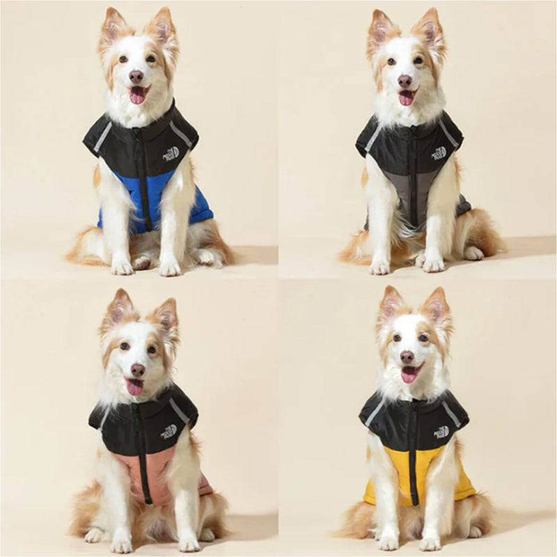 Dog Winter Coat