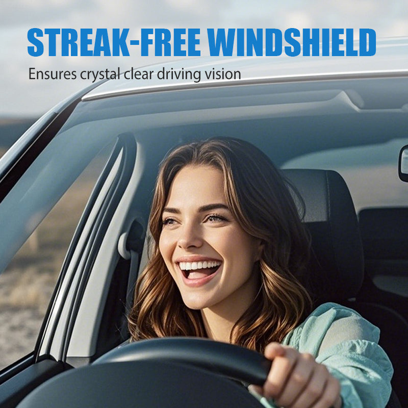 Winter Windshield Cleaner & De-Icer Fluid
